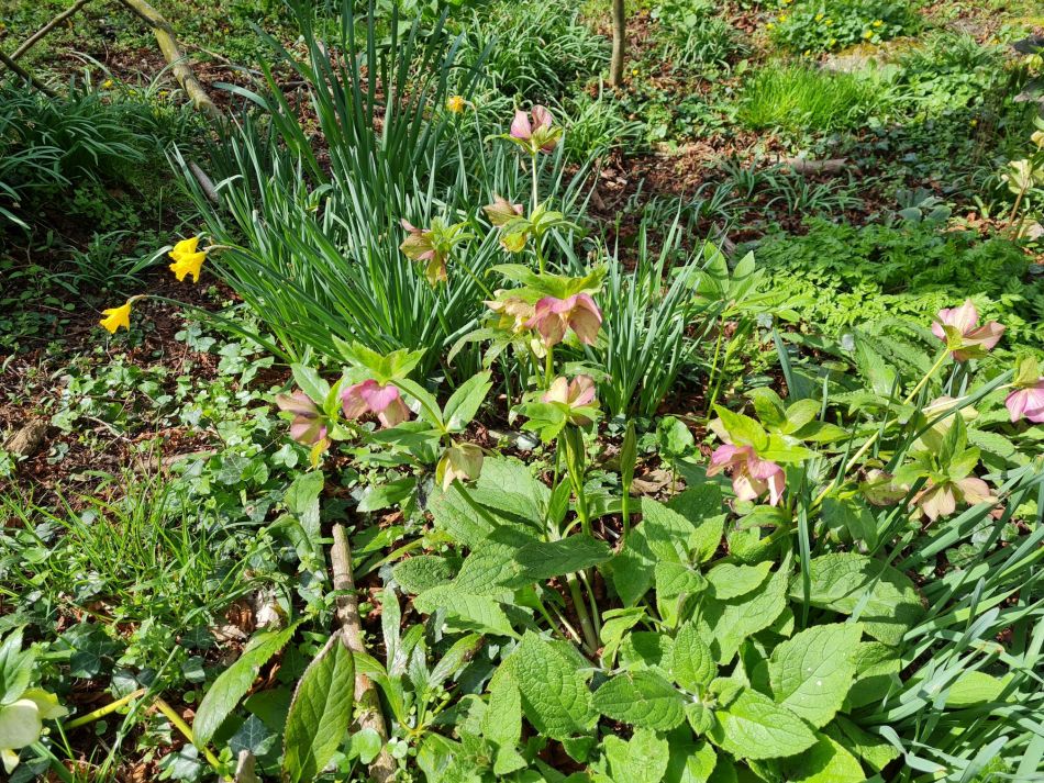 2021-04-04 17 Coastal Caper.jpg