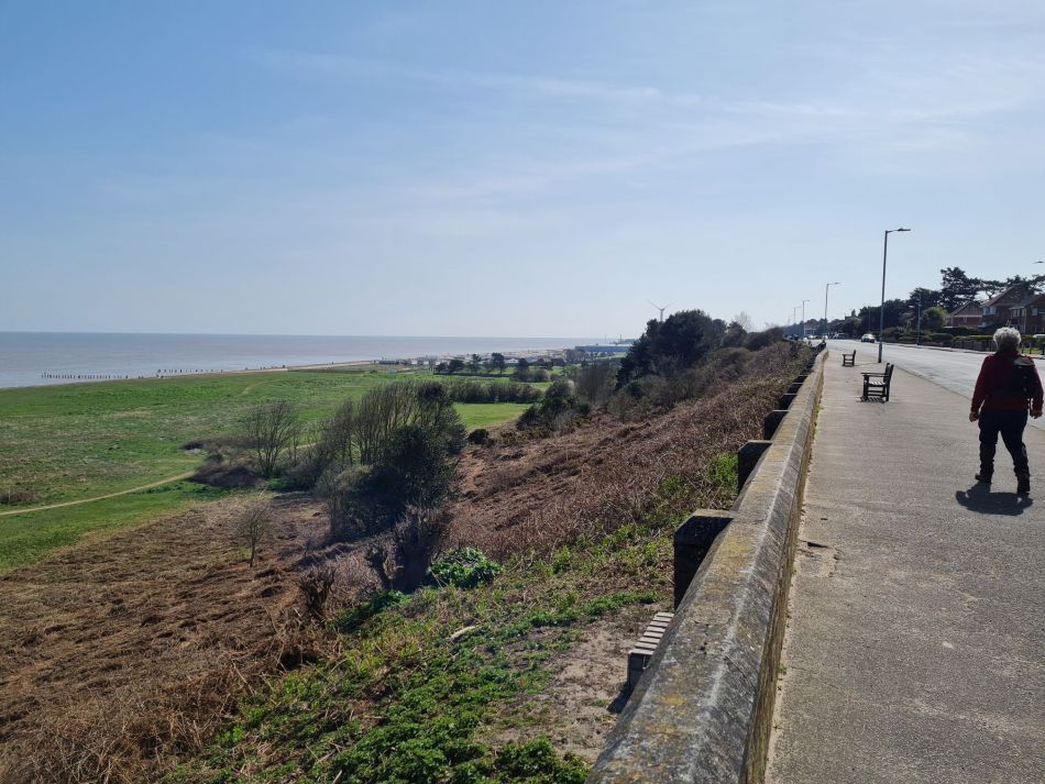 2021-04-04 18 Coastal Caper.jpg