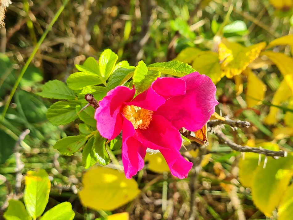 2021-10-24 05 Coast and Country.jpg