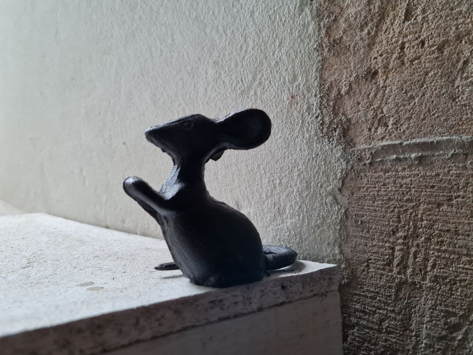 2021-10-24 24 Coast and Country.jpg