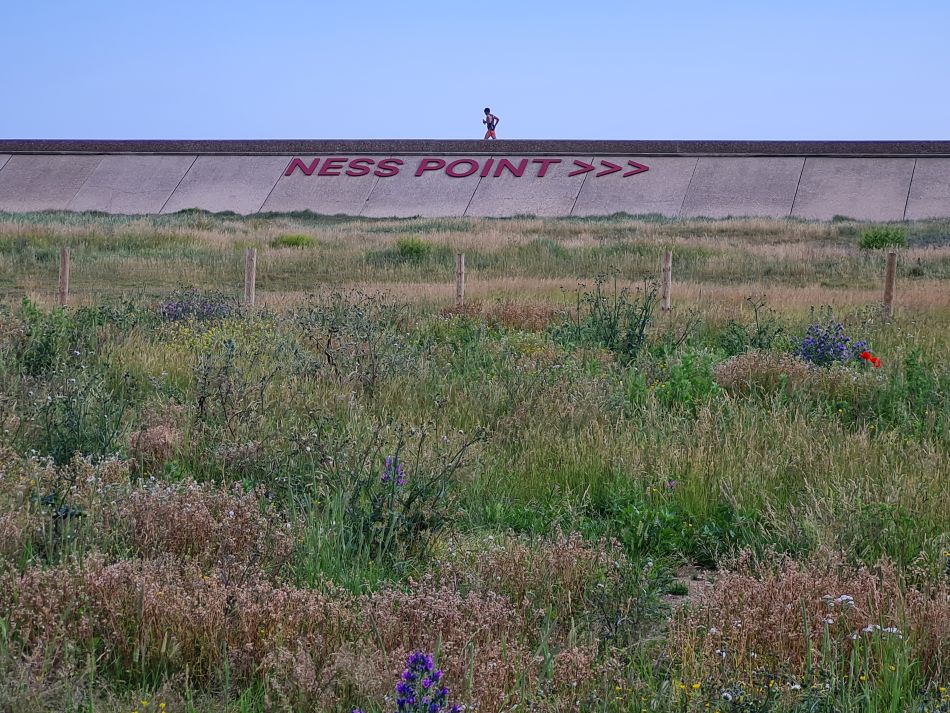 2022-06-12 04 Coast and Country.jpg