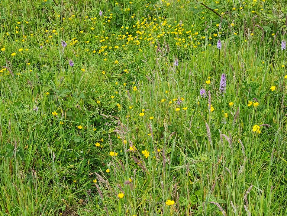 2022-06-12 19 Coast and Country.jpg