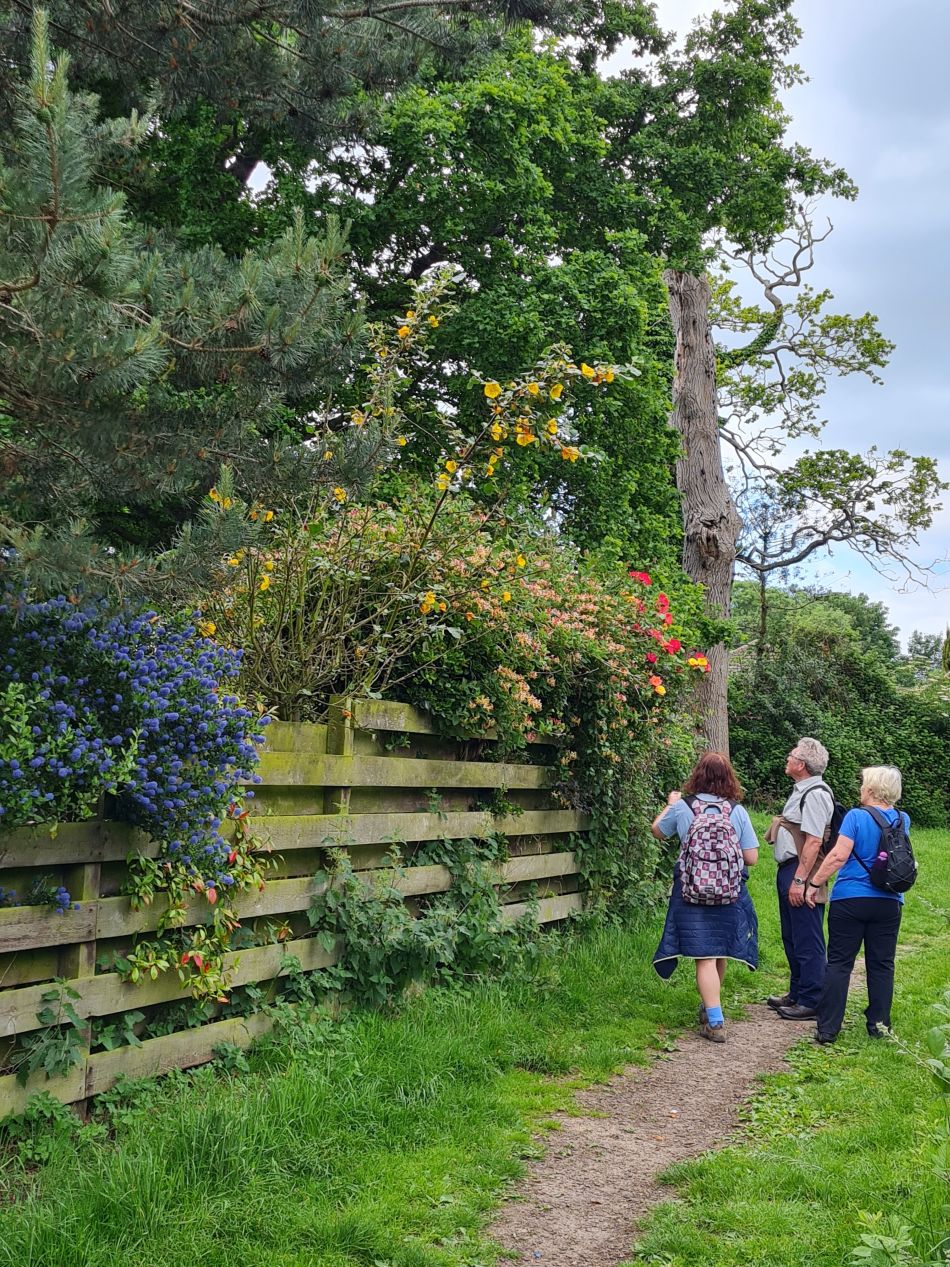 2022-06-12 20 Coast and Country.jpg