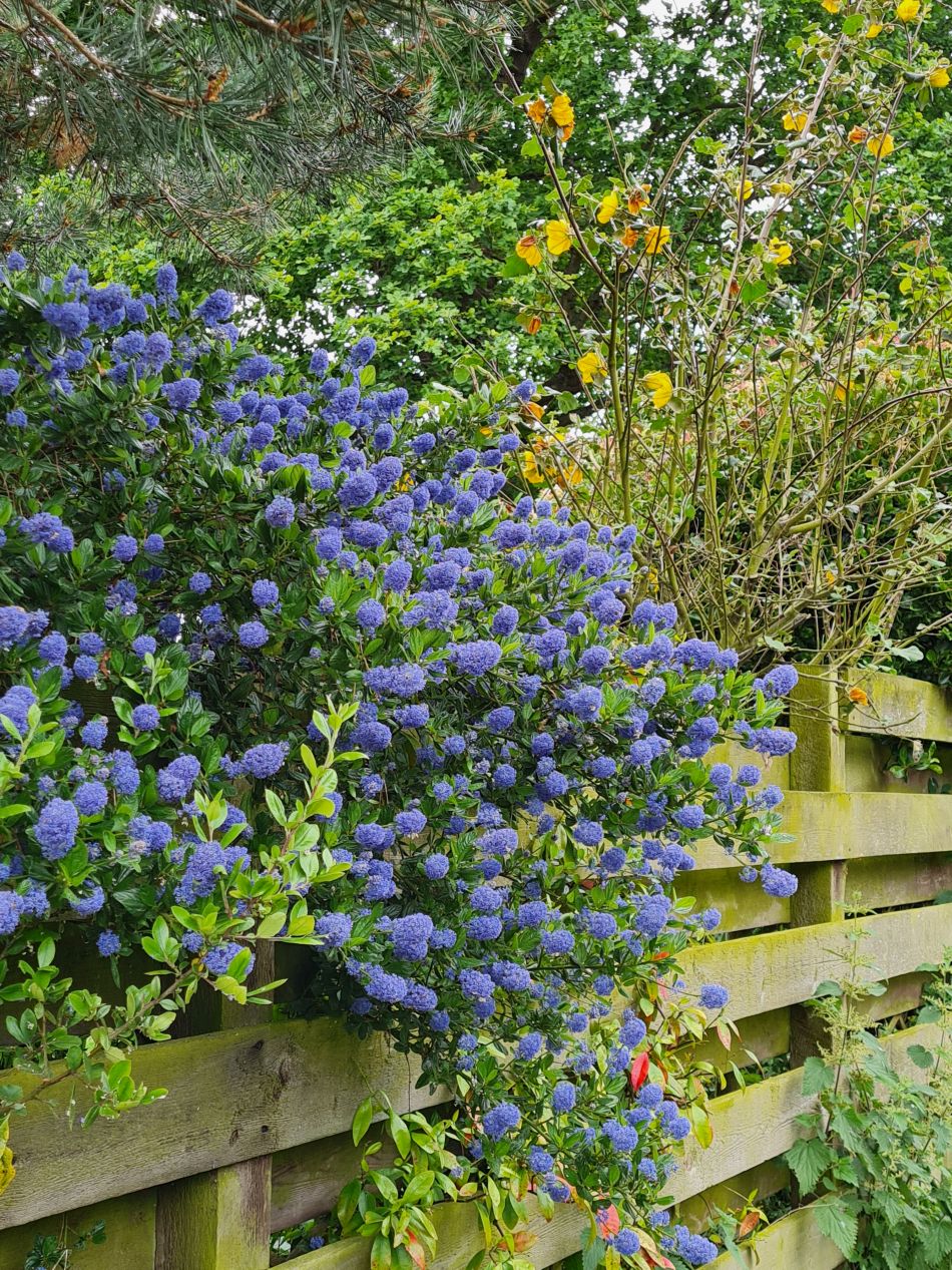 2022-06-12 21 Coast and Country.jpg