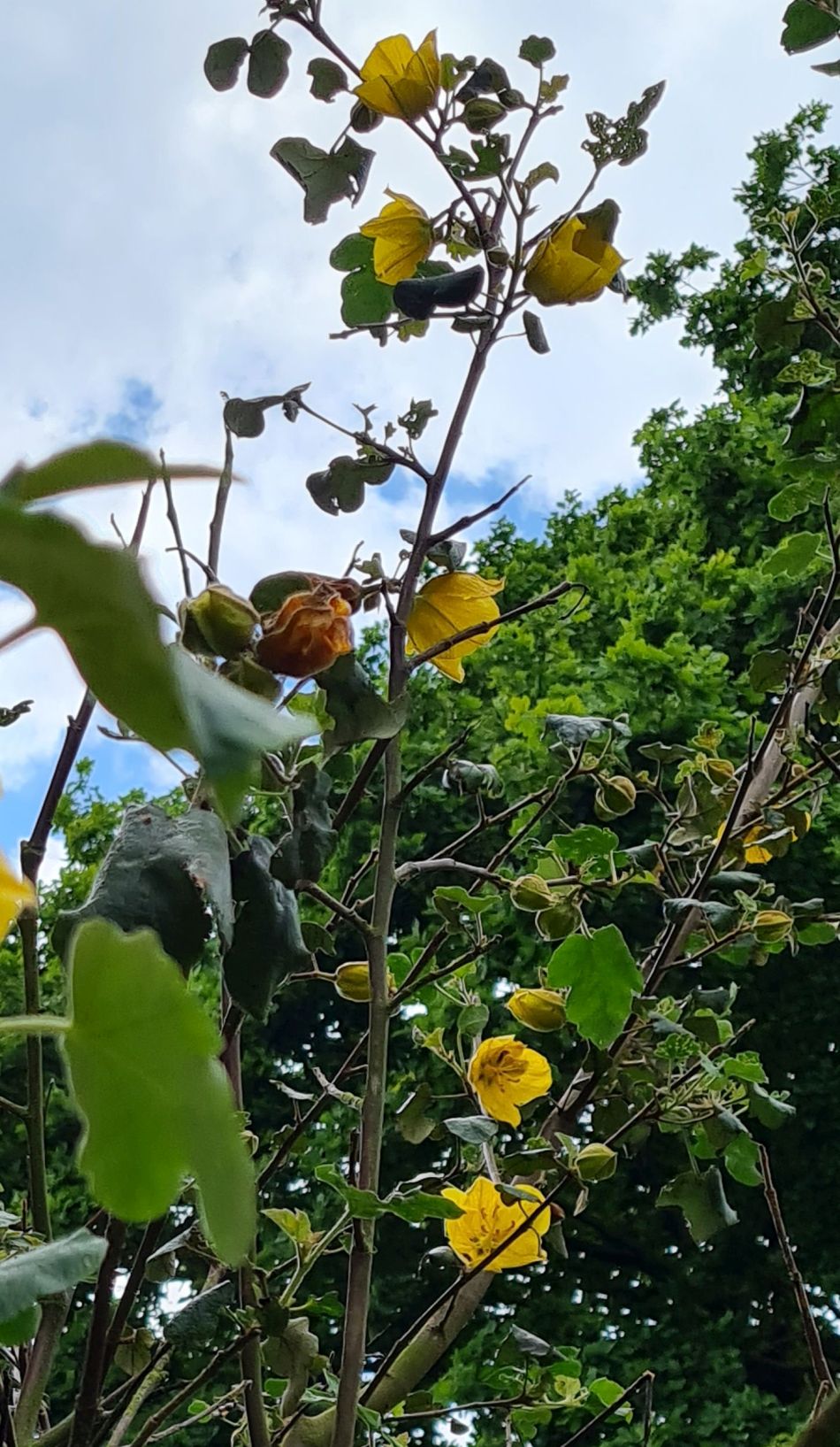 2022-06-12 22 Coast and Country.jpg