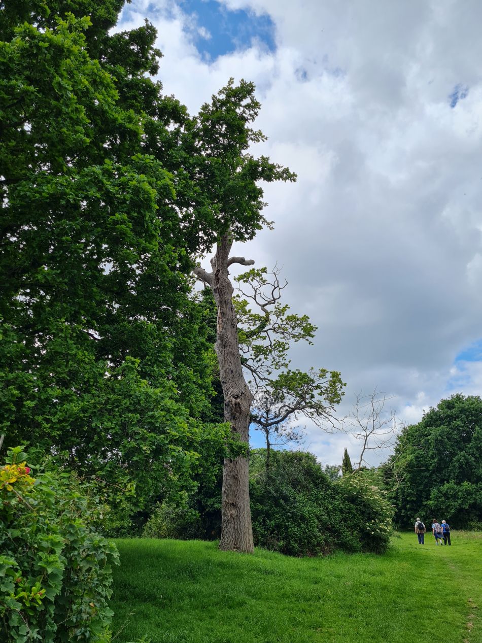 2022-06-12 25 Coast and Country.jpg