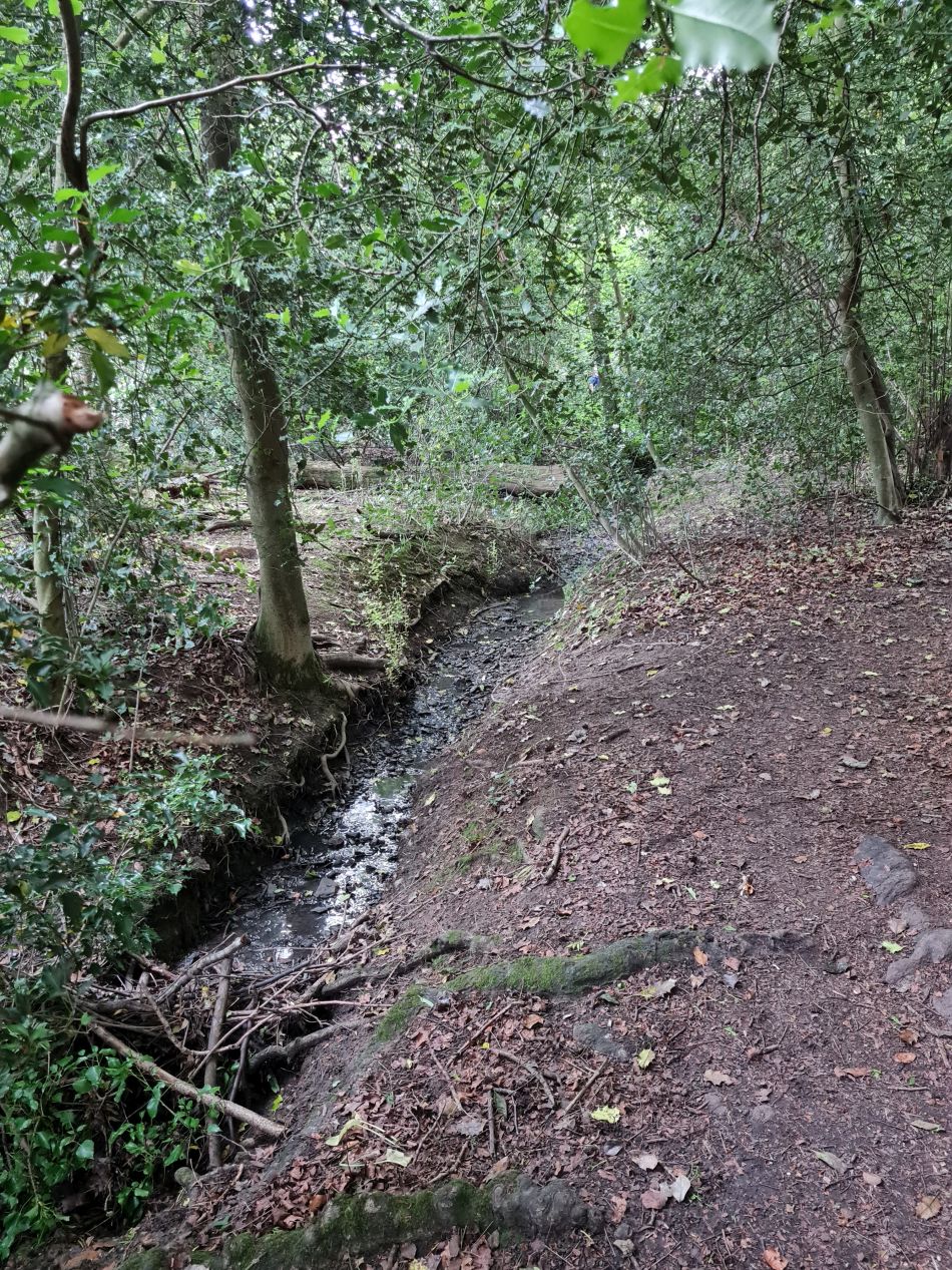 2022-06-12 26 Coast and Country.jpg