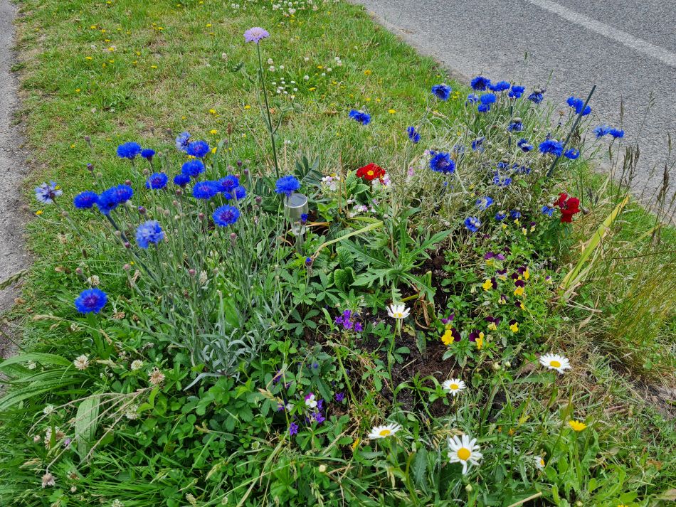 2022-06-12 29 Coast and Country.jpg