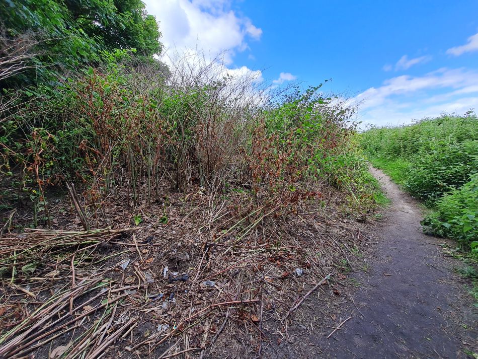 2022-06-12 32 Coast and Country.jpg