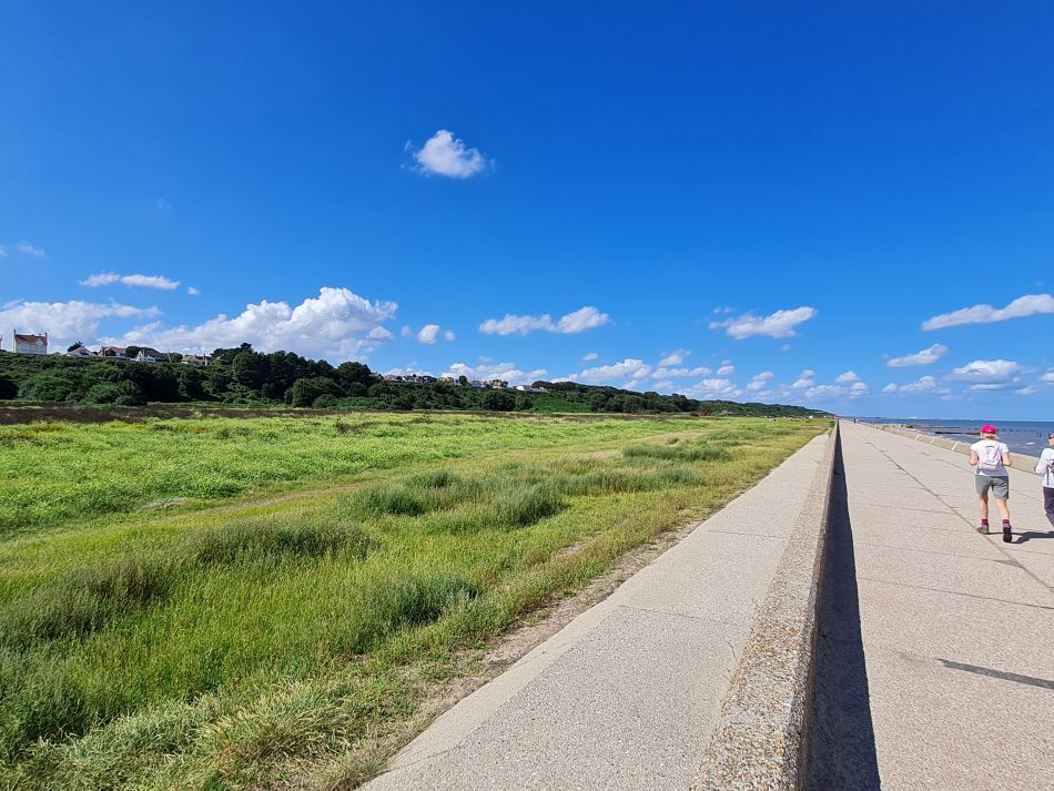 2023-08-20 05 Corton and Gunton Woods.jpg