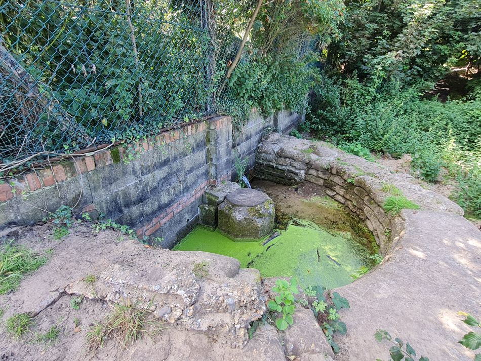 2023-08-20 06 Corton and Gunton Woods.jpg