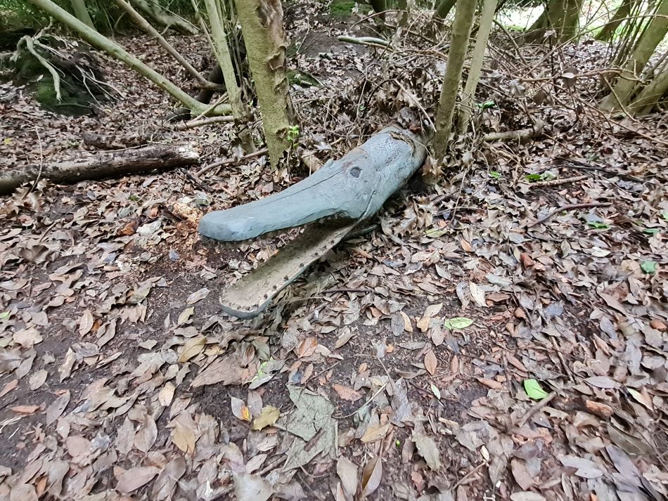 2023-08-20 09 Corton and Gunton Woods.jpg