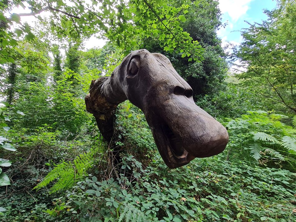 2023-08-20 10 Corton and Gunton Woods.jpg