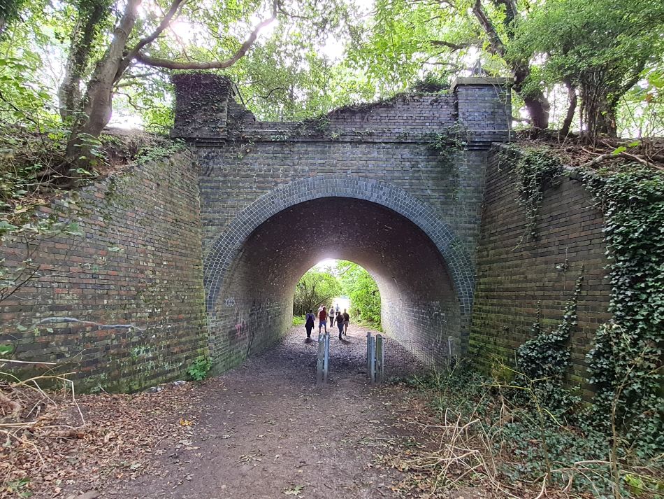 2023-08-20 13 Corton and Gunton Woods.jpg