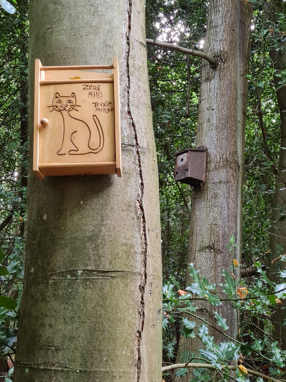 2023-10-08 06 Lowestoft Coast and Woods.jpg