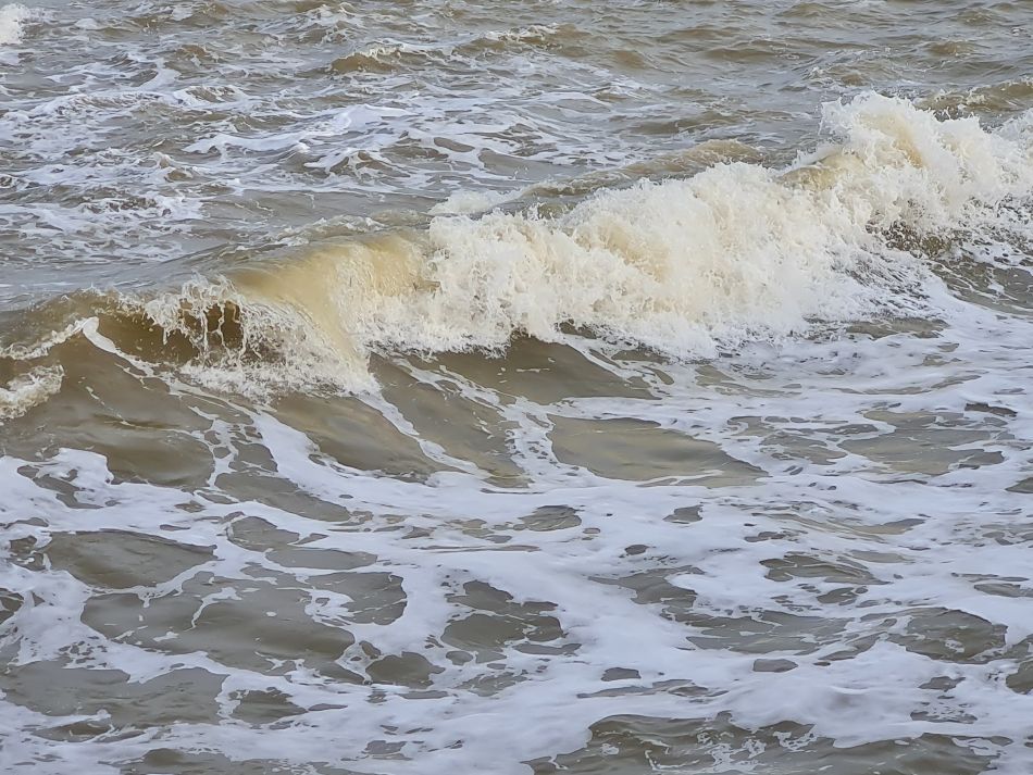 2023-10-08 13 Lowestoft Coast and Woods.jpg