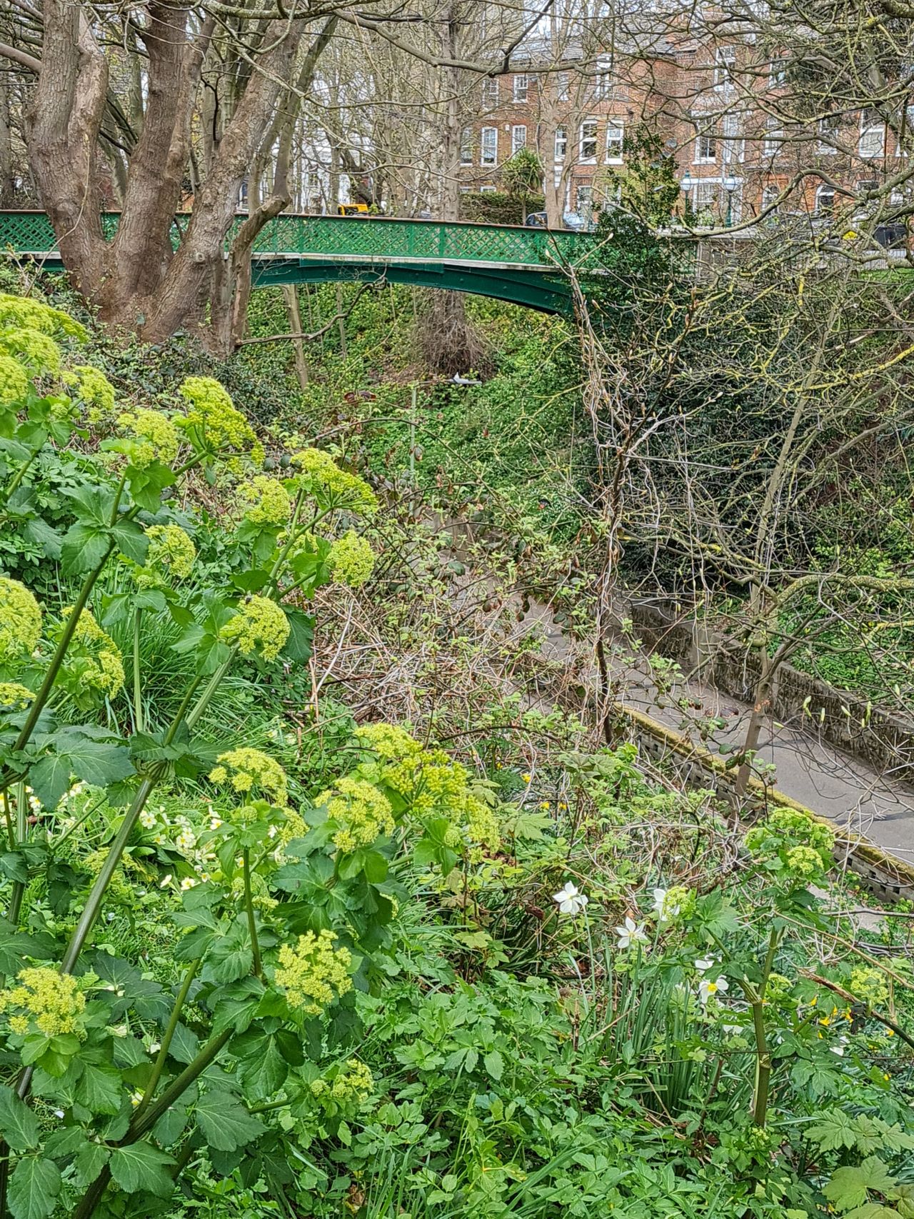 2025-04-16 01 Lowestoft Scores.jpg