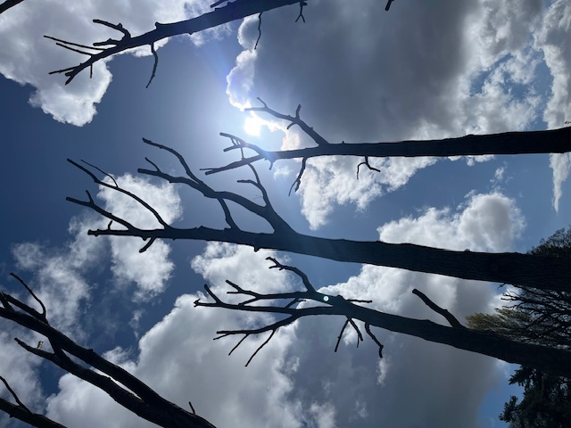 2026-04-19 04 Lowestoft.jpg