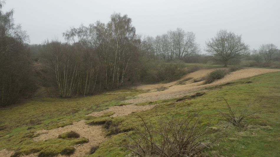 2018-04-15 01 Ditchingham and Broome.jpg