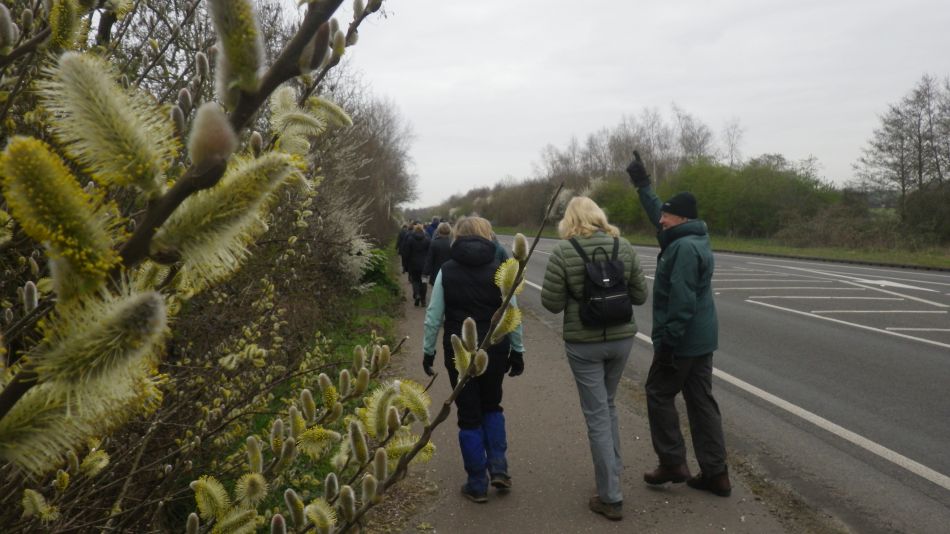 2019-03-27 02 Signs of Spring.JPG