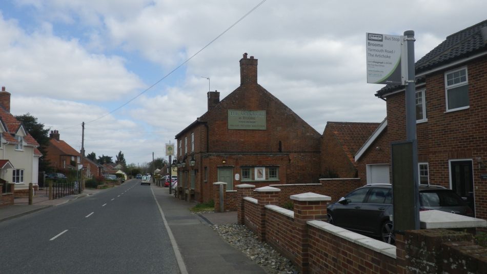 2019-04-10 05 Artichoke at Broome.JPG