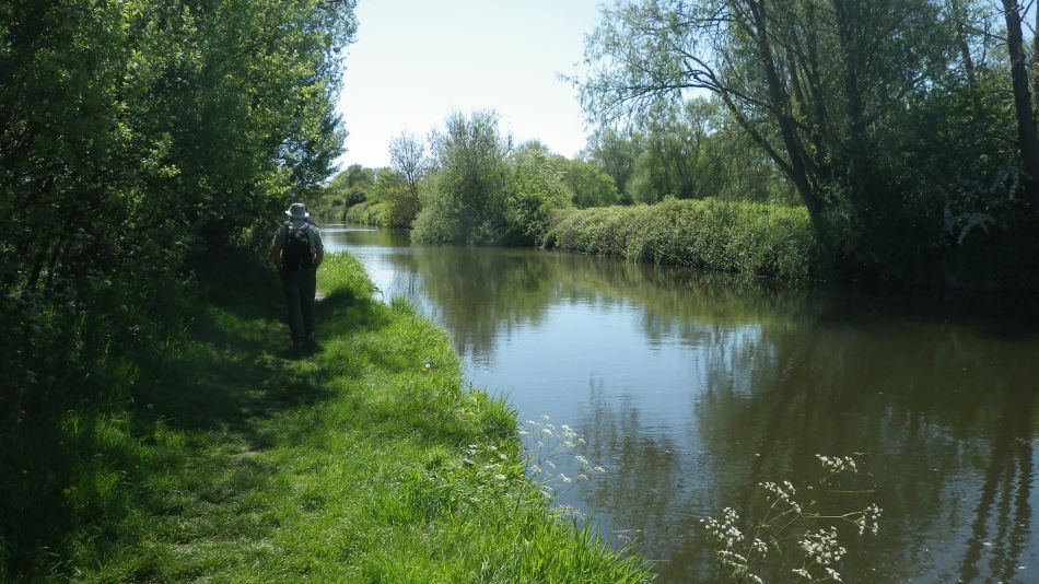 2019-05-16 14 Waveney Way 6 - Waveney River.jpg