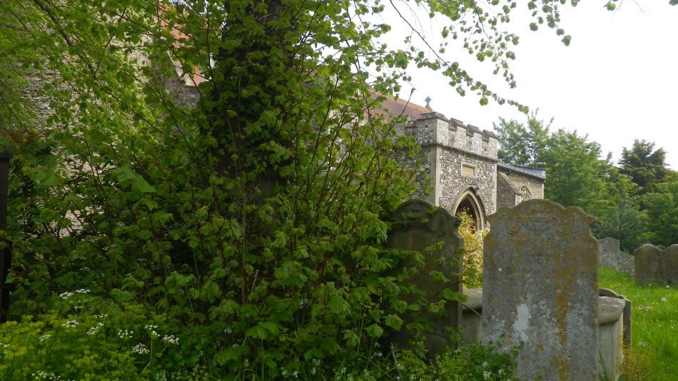 2019-05-19 01 Bath Hills and Falcon Meadow.jpg