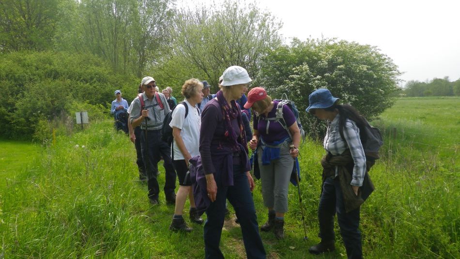 2019-05-19 10 Bath Hills and Falcon Meadow.jpg