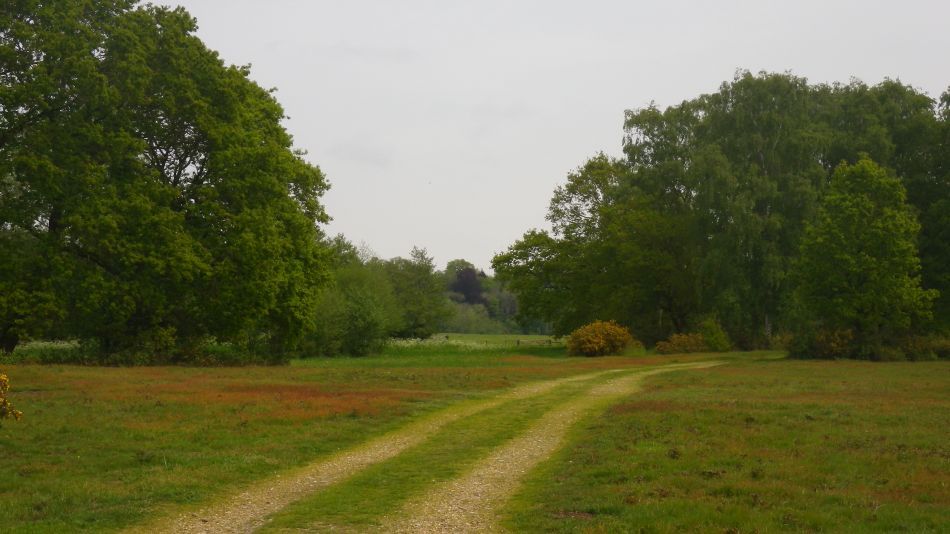 2019-05-19 11 Bath Hills and Falcon Meadow.jpg