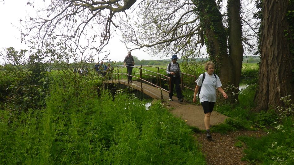 2019-05-19 12 Bath Hills and Falcon Meadow.jpg