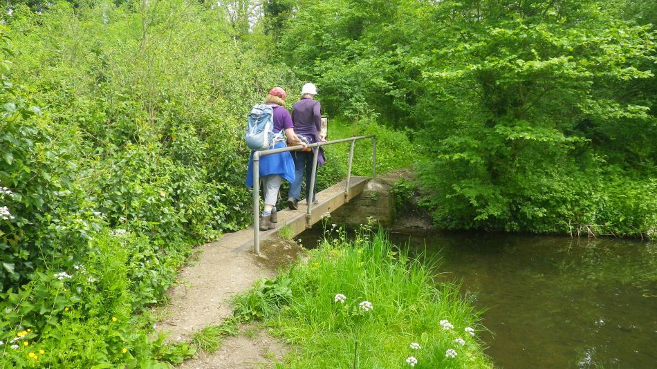 2019-05-19 13 Bath Hills and Falcon Meadow.jpg