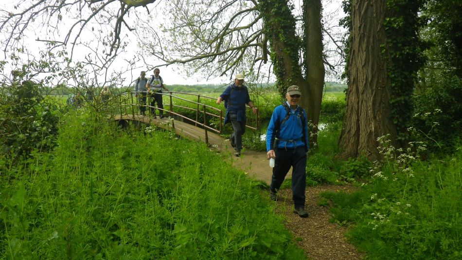 2019-05-19 14 Bath Hills and Falcon Meadow.jpg