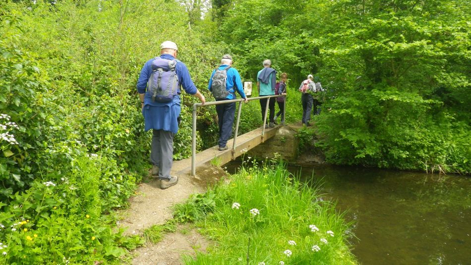 2019-05-19 15 Bath Hills and Falcon Meadow.jpg