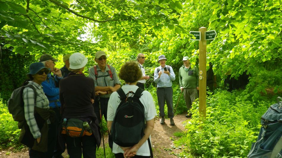 2019-05-19 17 Bath Hills and Falcon Meadow.jpg