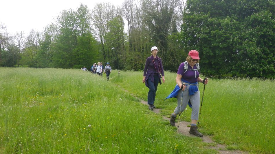 2019-05-19 18 Bath Hills and Falcon Meadow.jpg