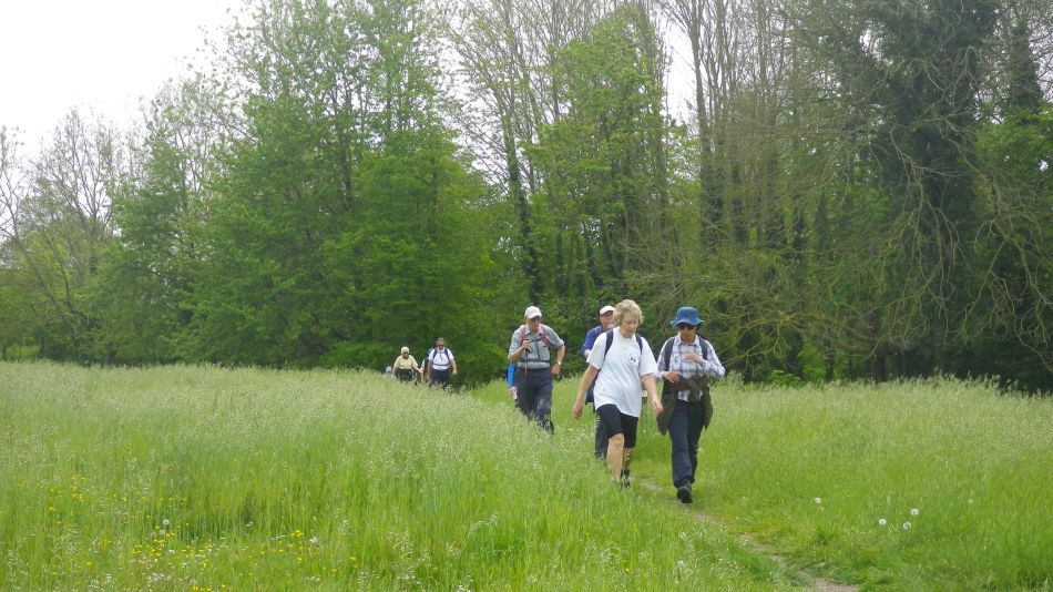 2019-05-19 19 Bath Hills and Falcon Meadow.jpg