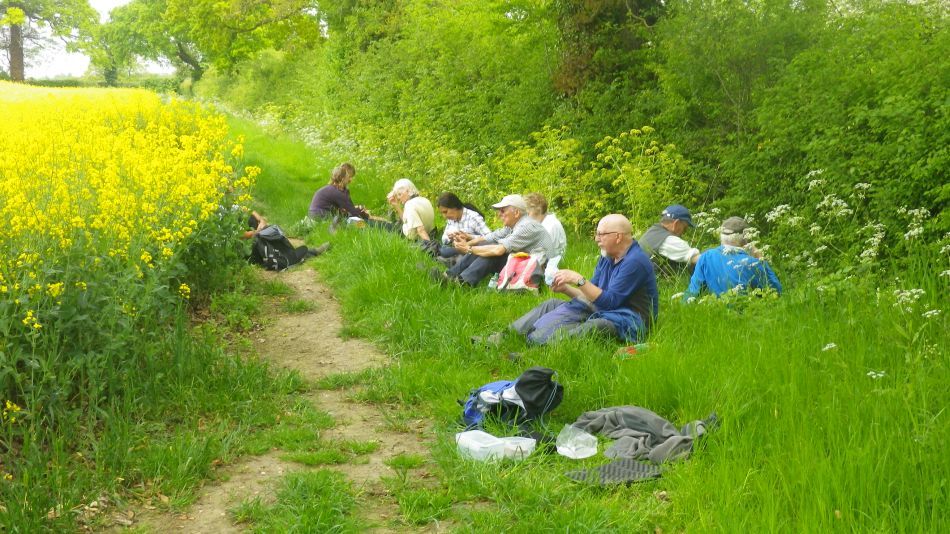 2019-05-19 20 Bath Hills and Falcon Meadow.jpg