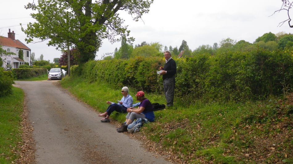 2019-05-19 21 Bath Hills and Falcon Meadow.jpg