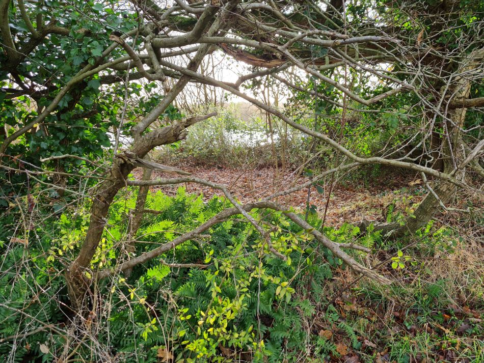 2021-12-08 02 Ditchingham and Broome.jpg