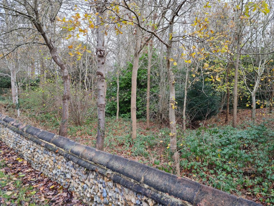 2021-12-08 04 Ditchingham and Broome.jpg