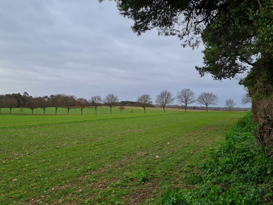 2021-12-08 07 Ditchingham and Broome.jpg