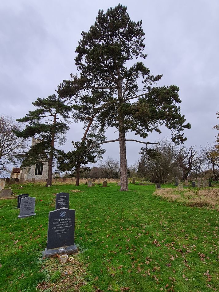 2021-12-08 09 Ditchingham and Broome.jpg