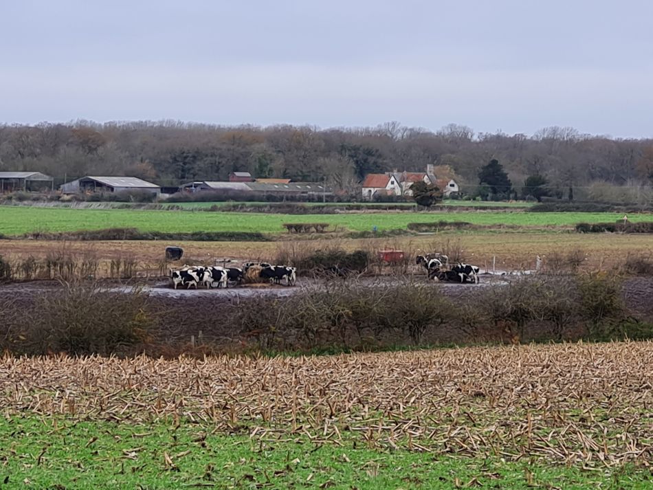 2021-12-08 16 Ditchingham and Broome.jpg