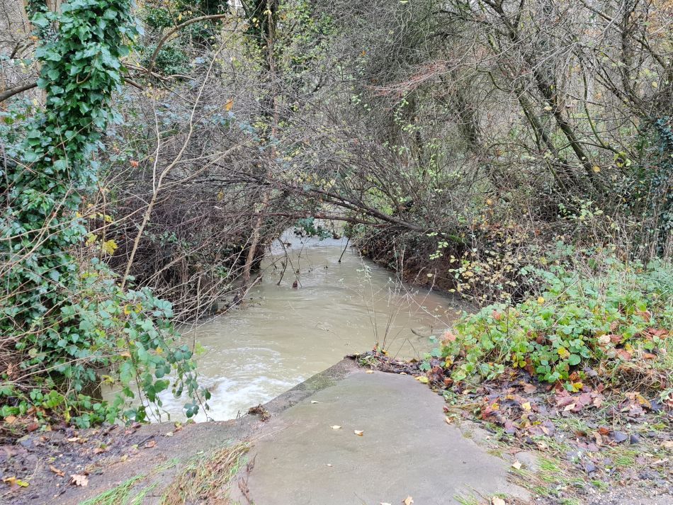 2021-12-08 17 Ditchingham and Broome.jpg