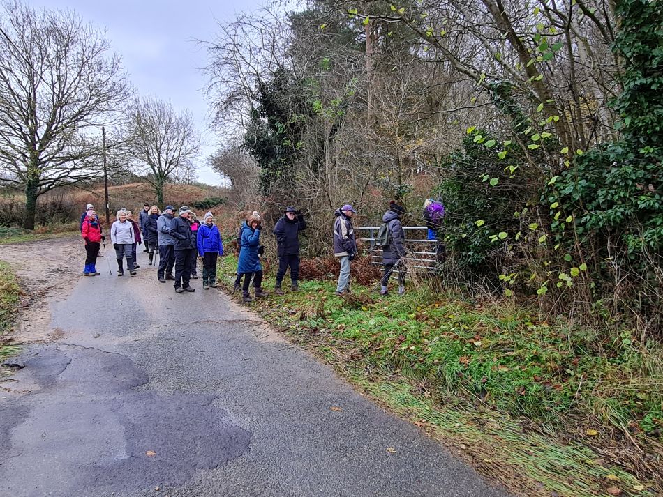 2021-12-08 18 Ditchingham and Broome.jpg