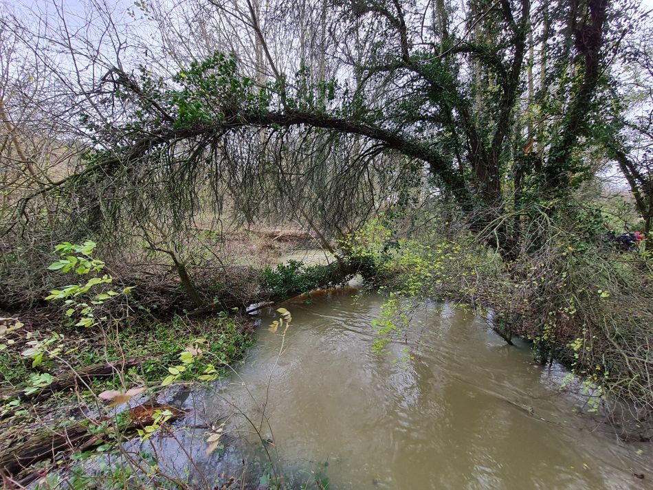 2021-12-08 21 Ditchingham and Broome.jpg