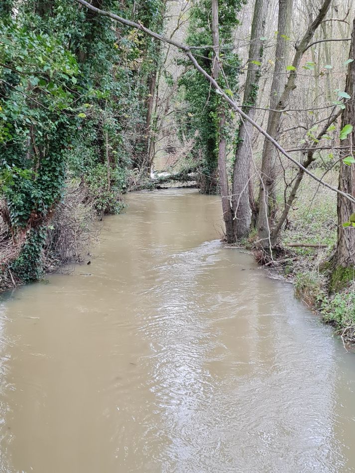 2021-12-08 22 Ditchingham and Broome.jpg