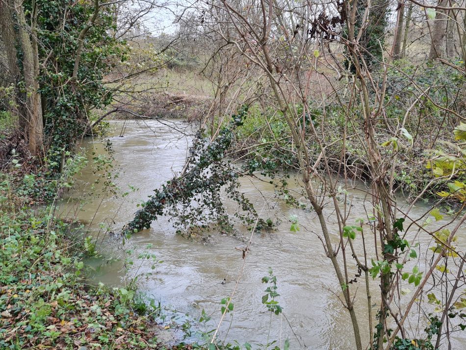 2021-12-08 23 Ditchingham and Broome.jpg