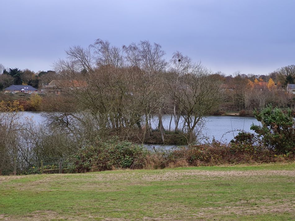 2021-12-08 25 Ditchingham and Broome.jpg