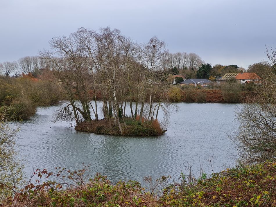2021-12-08 28 Ditchingham and Broome.jpg